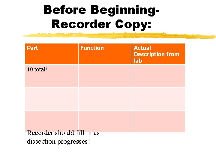 Before Beginning. Recorder Copy: Part Function 10 total! Recorder should fill in as dissection