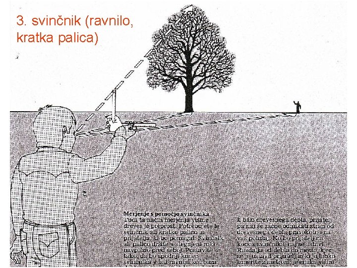 3. svinčnik (ravnilo, kratka palica) 