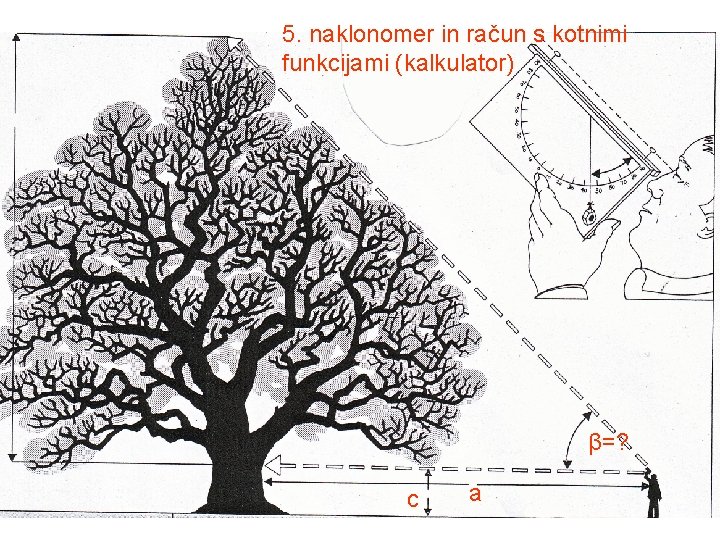 5. naklonomer in račun s kotnimi funkcijami (kalkulator) β=? c a 