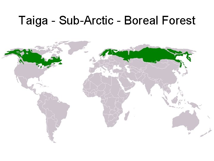 Taiga - Sub-Arctic - Boreal Forest 