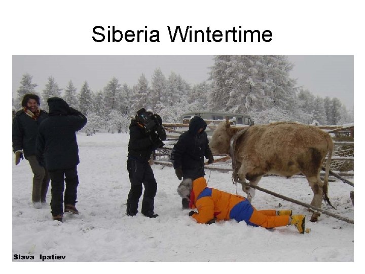 Siberia Wintertime 