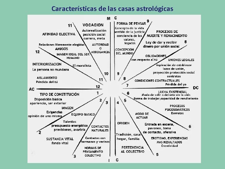 Características de las casas astrológicas 