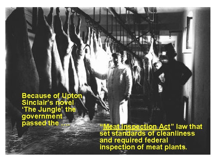 Because of Upton Sinclair’s novel ‘The Jungle’ the government passed the …. “Meat Inspection