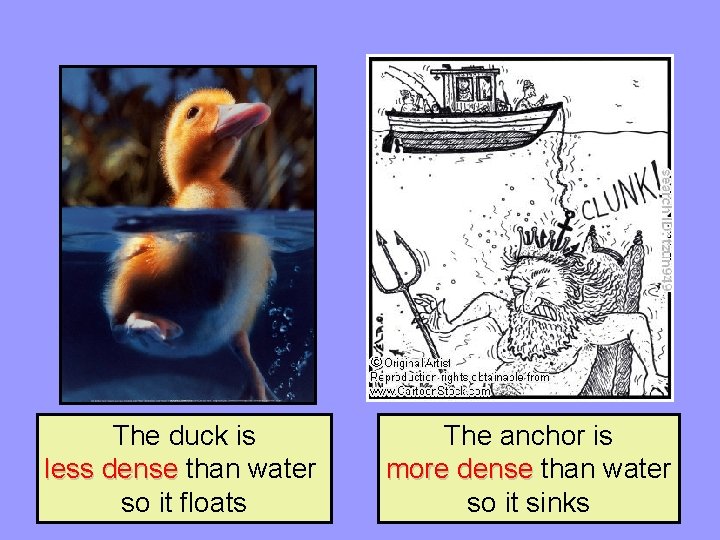 The duck is less dense than water so it floats The anchor is more