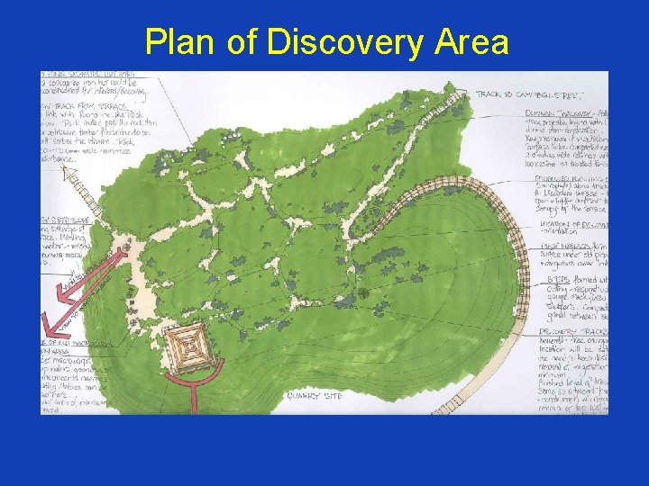 Plan of Discovery Area 