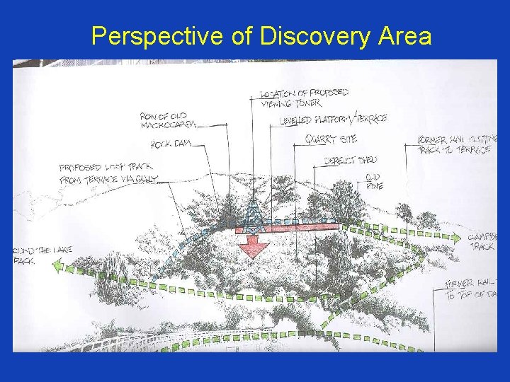 Perspective of Discovery Area 