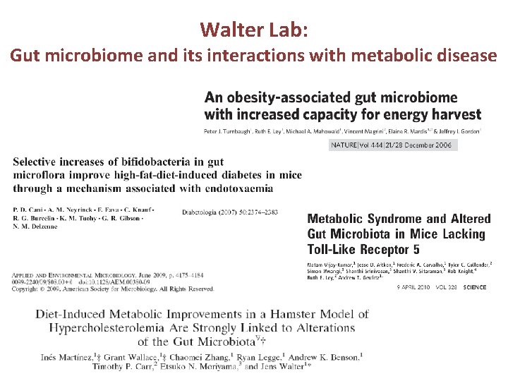 Walter Lab: Gut microbiome and its interactions with metabolic disease 
