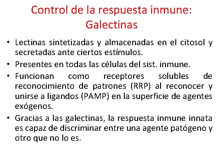 Control de la respuesta inmune: Galectinas • Lectinas sintetizadas y almacenadas en el citosol