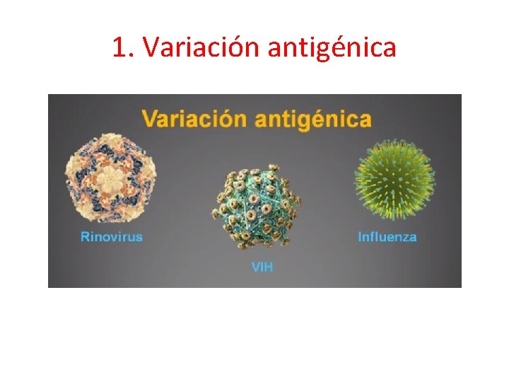 1. Variación antigénica 