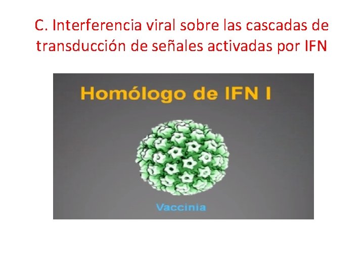C. Interferencia viral sobre las cascadas de transducción de señales activadas por IFN 