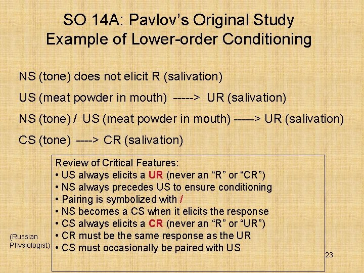 SO 14 A: Pavlov’s Original Study Example of Lower-order Conditioning NS (tone) does not