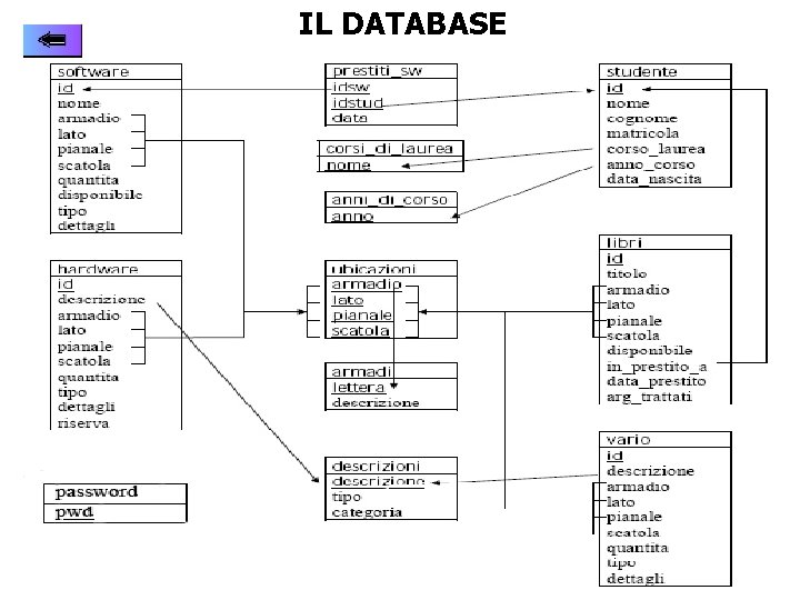 IL DATABASE 