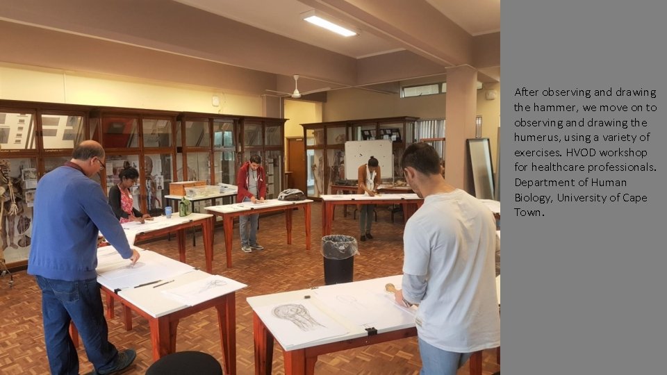 After observing and drawing the hammer, we move on to observing and drawing the