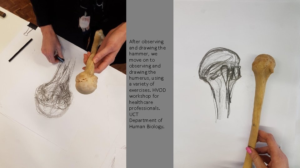 After observing and drawing the hammer, we move on to observing and drawing the