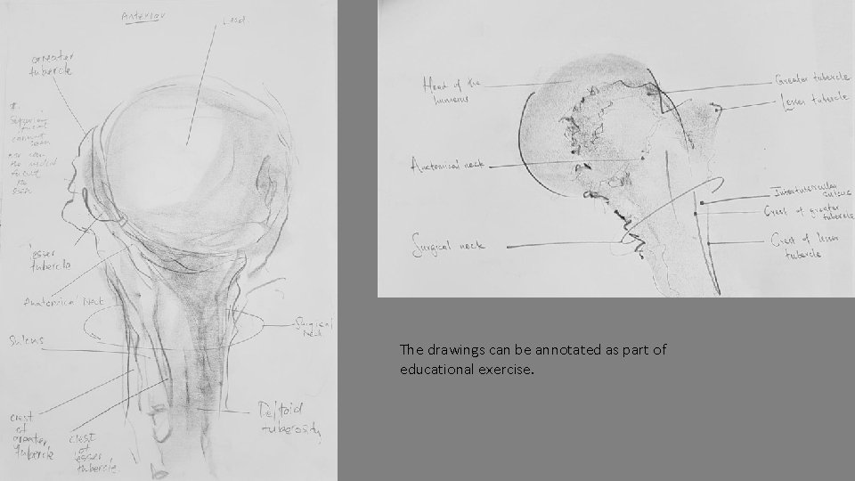 The drawings can be annotated as part of educational exercise. 