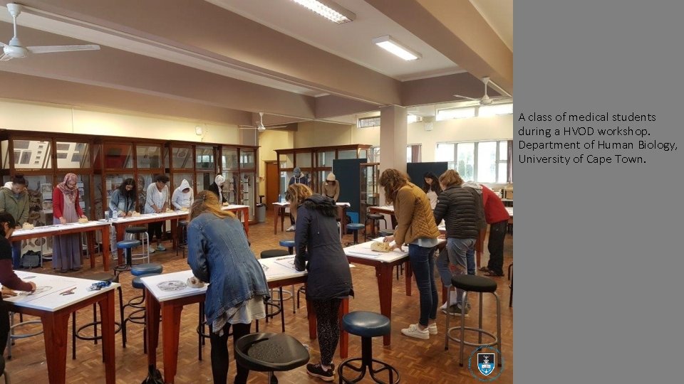 A class of medical students during a HVOD workshop. Department of Human Biology, University