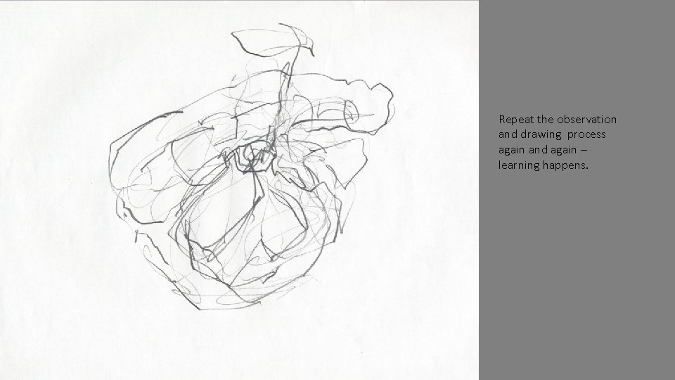 Repeat the observation and drawing process again and again – learning happens. 