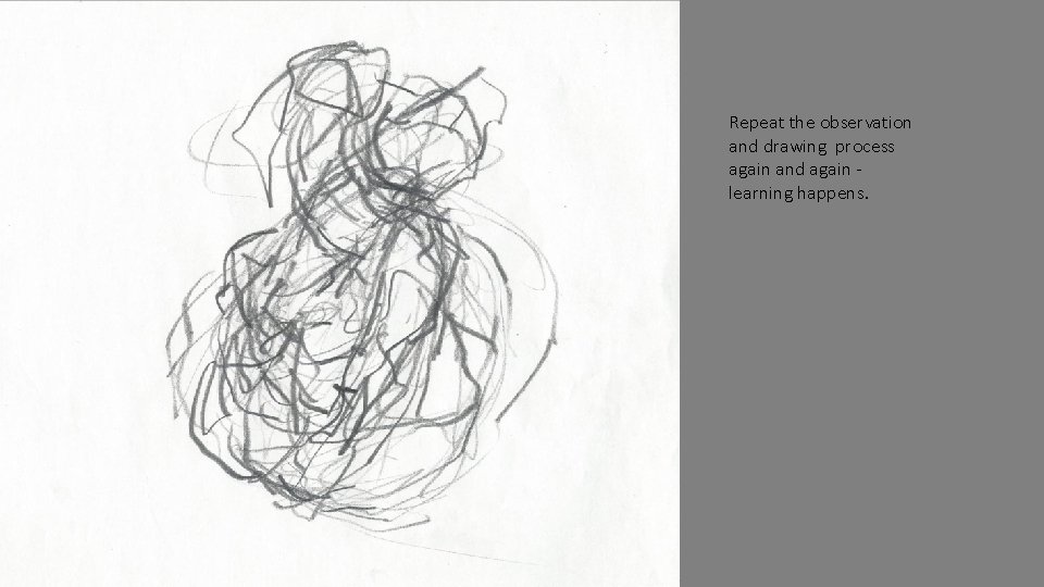 Repeat the observation and drawing process again and again learning happens. 