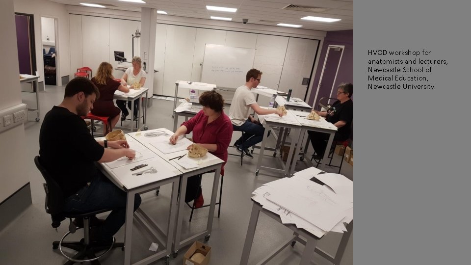 HVOD workshop for anatomists and lecturers, Newcastle School of Medical Education, Newcastle University. 