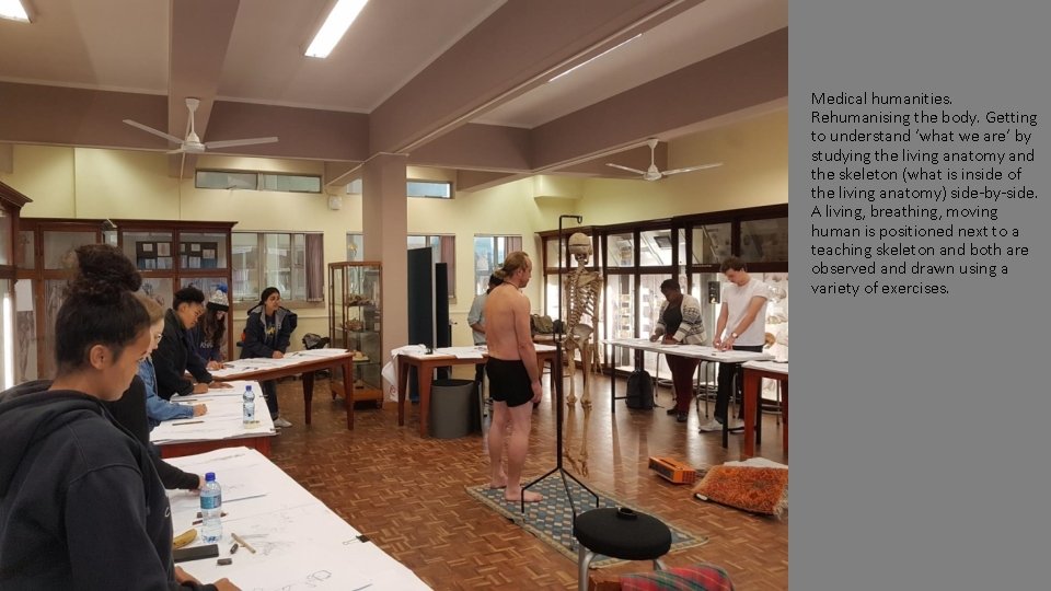 Medical humanities. Rehumanising the body. Getting to understand ‘what we are’ by studying the