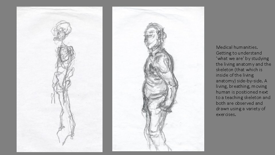 Medical humanities. Getting to understand ‘what we are’ by studying the living anatomy and