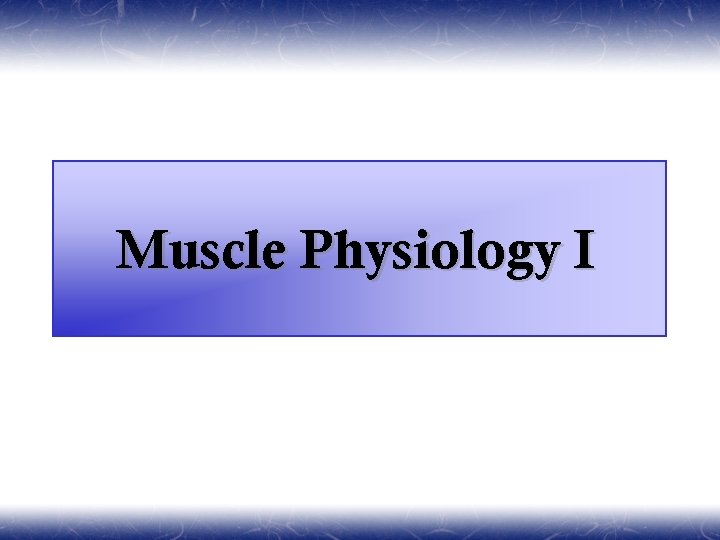 Muscle Physiology I 