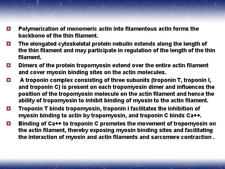 ¥ ¥ ¥ Polymerization of monomeric actin into filamentous actin forms the backbone of