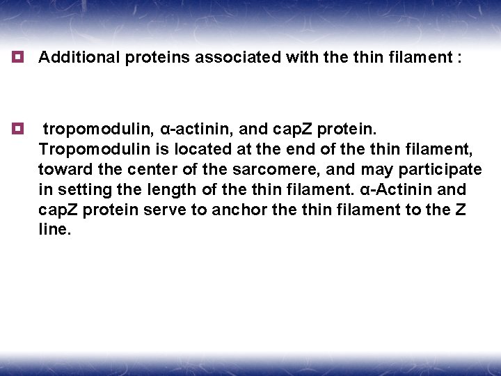 ¥ Additional proteins associated with the thin filament : ¥ tropomodulin, α-actinin, and cap.