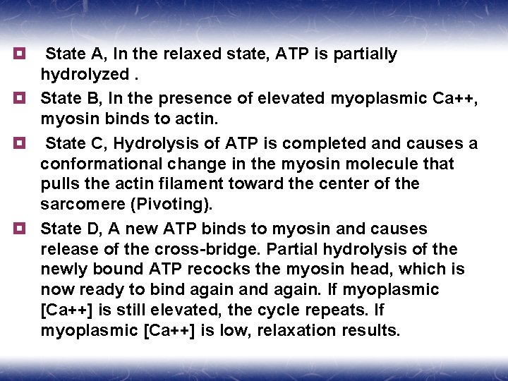 State A, In the relaxed state, ATP is partially hydrolyzed. ¥ State B, In