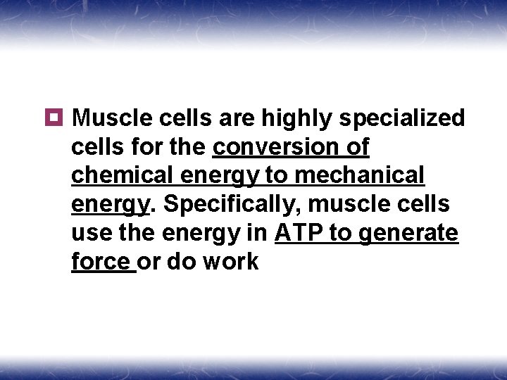 ¥ Muscle cells are highly specialized cells for the conversion of chemical energy to