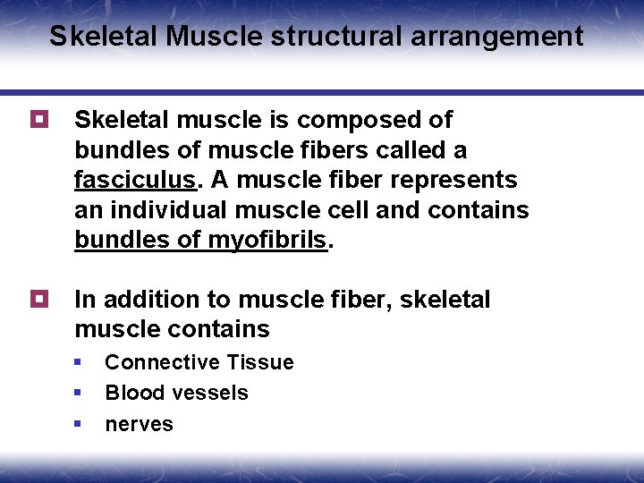 Skeletal Muscle structural arrangement ¥ Skeletal muscle is composed of bundles of muscle fibers