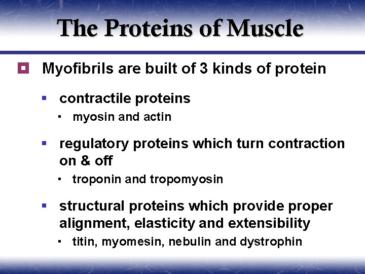 The Proteins of Muscle ¥ Myofibrils are built of 3 kinds of protein §