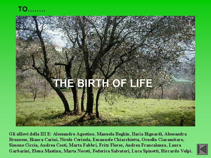 TO…. …. THE BIRTH OF LIFE Gli allievi della III E: Alessandro Agostino, Manuela