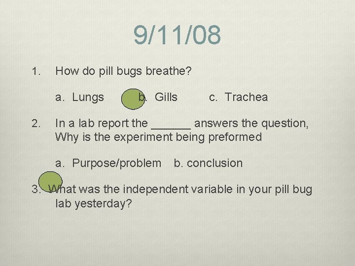 9/11/08 1. How do pill bugs breathe? a. Lungs 2. b. Gills c. Trachea 9/11/08 1. How do pill bugs breathe? a. Lungs 2. b. Gills c. Trachea