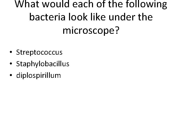 What would each of the following bacteria look like under the microscope? • Streptococcus