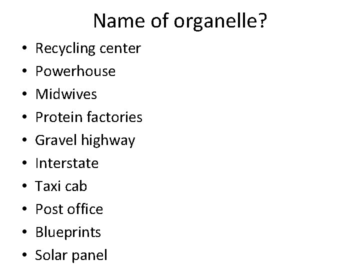 Name of organelle? • • • Recycling center Powerhouse Midwives Protein factories Gravel highway