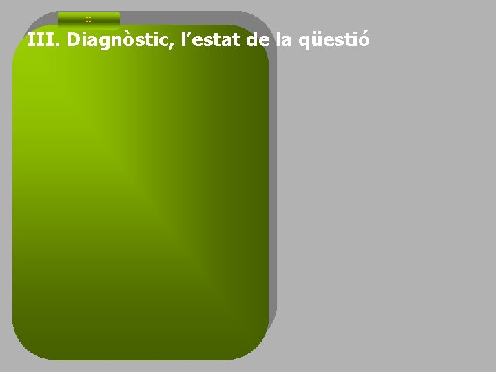 II III. Diagnòstic, l’estat de la qüestió 