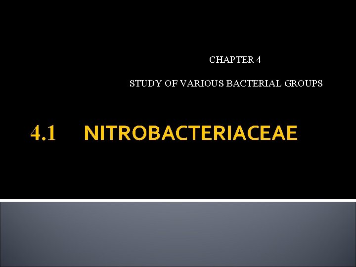 CHAPTER 4 STUDY OF VARIOUS BACTERIAL GROUPS 4. 1 NITROBACTERIACEAE 