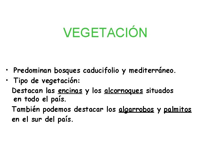 VEGETACIÓN • Predominan bosques caducifolio y mediterráneo. • Tipo de vegetación: Destacan las encinas