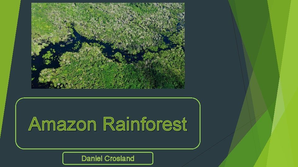 Amazon Rainforest Daniel Crosland 