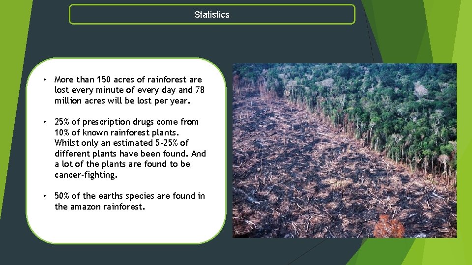 Statistics • More than 150 acres of rainforest are lost every minute of every