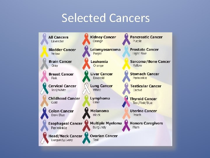 Cancer Basic Facts Presented By Nancy Barrett Krista