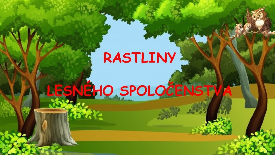 RASTLINY LESNÉHO SPOLOČENSTVA 