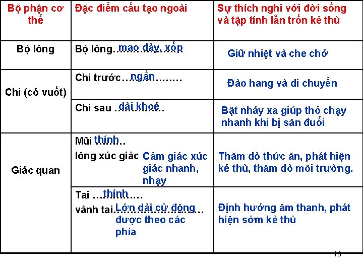 Bộ phận cơ thể Đặc điểm cấu tạo ngoài Bộ lông mao dày, xốp