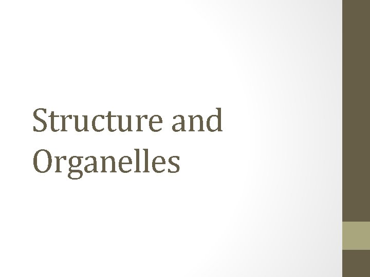 Structure and Organelles 