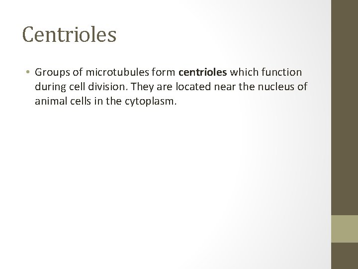 Centrioles • Groups of microtubules form centrioles which function during cell division. They are