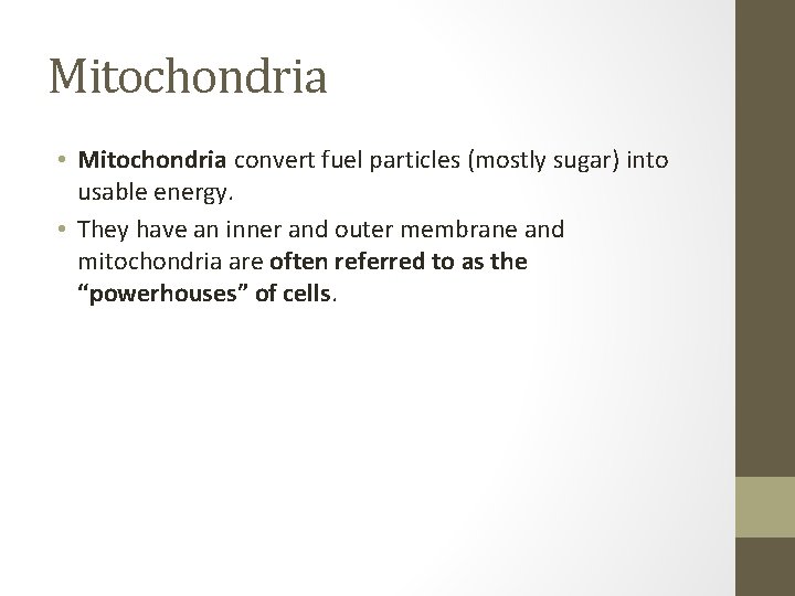 Mitochondria • Mitochondria convert fuel particles (mostly sugar) into usable energy. • They have