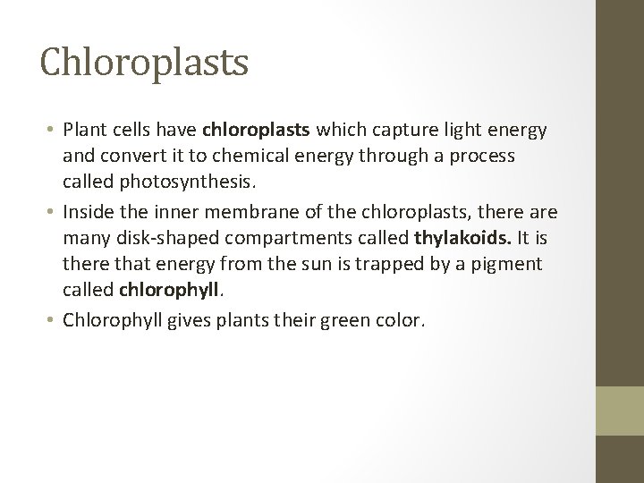 Chloroplasts • Plant cells have chloroplasts which capture light energy and convert it to