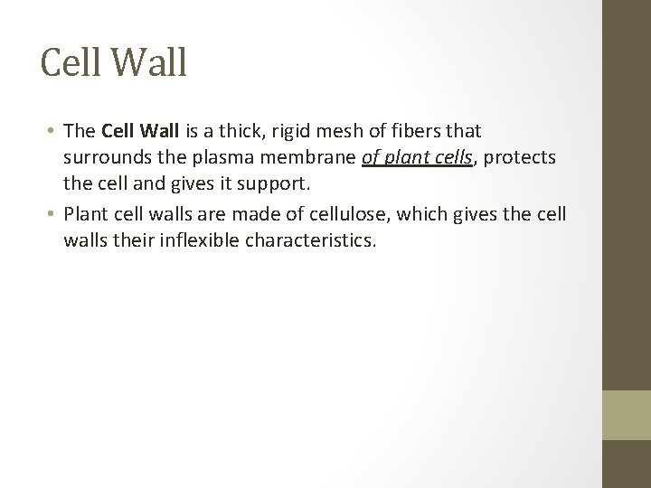 Cell Wall • The Cell Wall is a thick, rigid mesh of fibers that