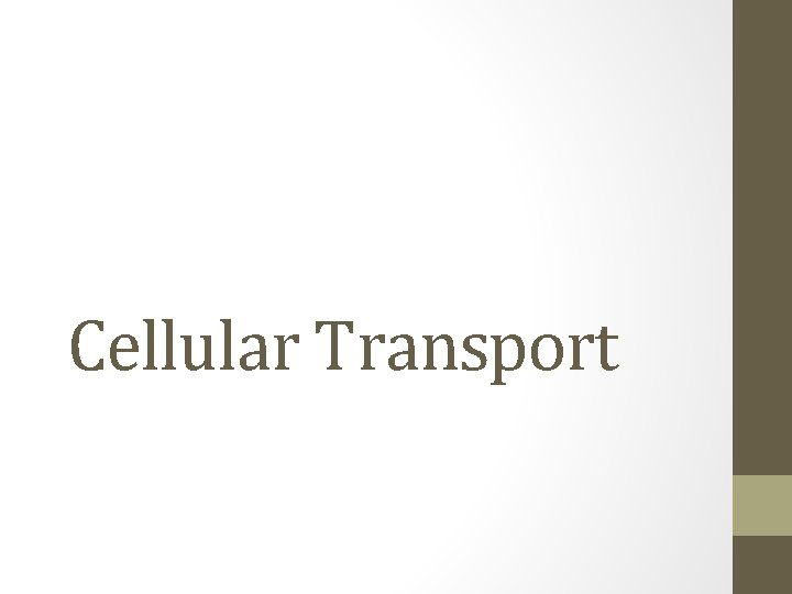 Cellular Transport 